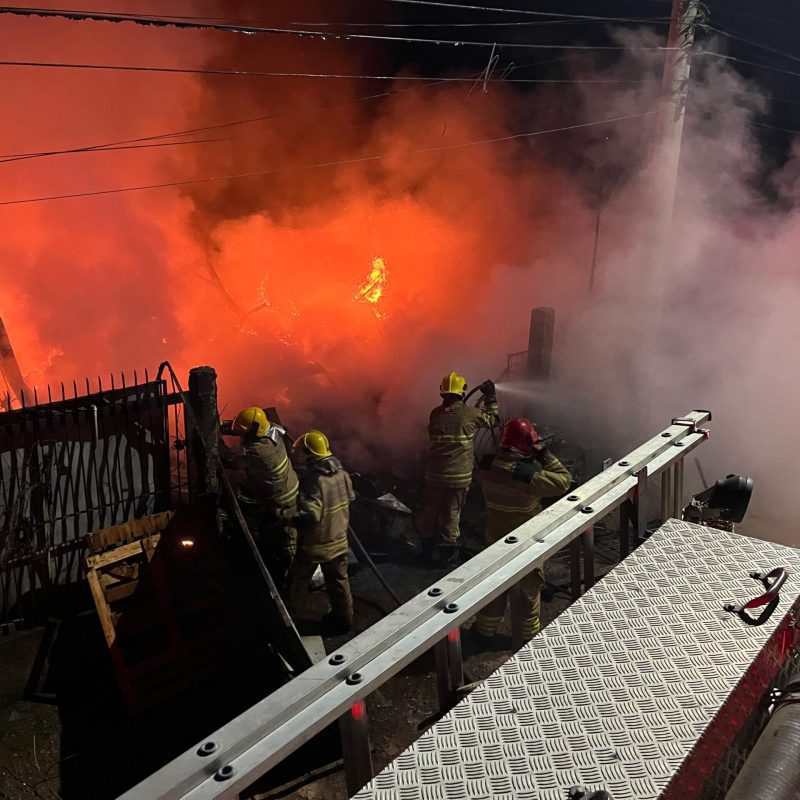 b2a181eb-1dfc-4b1f-970c-d632d7c88f49