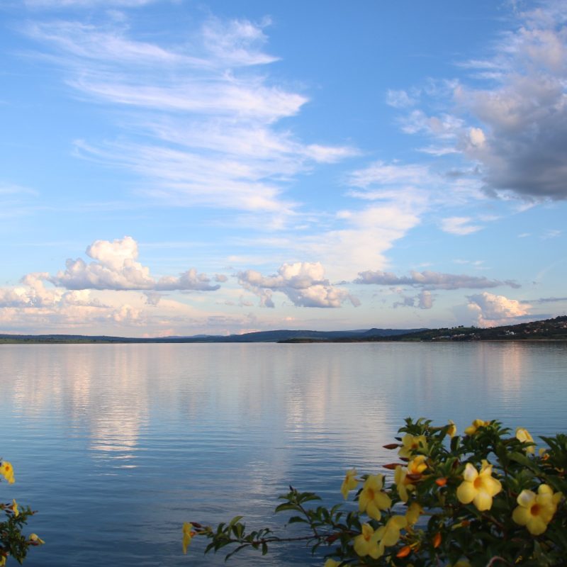 c8a73c71-8c57-4ebd-9b82-406f75435b54